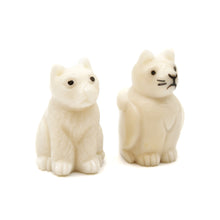 画像をギャラリービューアに読み込む, (左)A (右)B