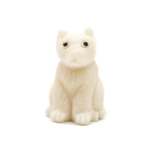 画像をギャラリービューアに読み込む, A