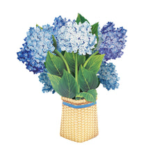 画像をギャラリービューアに読み込む, アジサイブルー/ナンタケット