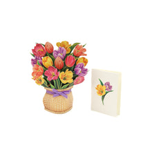 画像をギャラリービューアに読み込む, チューリップ / ナンタケット(mini)