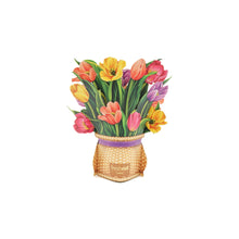 画像をギャラリービューアに読み込む, チューリップ / ナンタケット(mini)