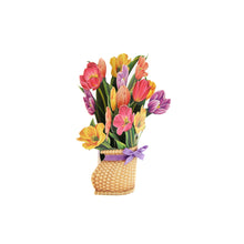 画像をギャラリービューアに読み込む, チューリップ / ナンタケット(mini)