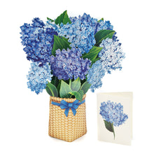 画像をギャラリービューアに読み込む, アジサイブルー/ナンタケット