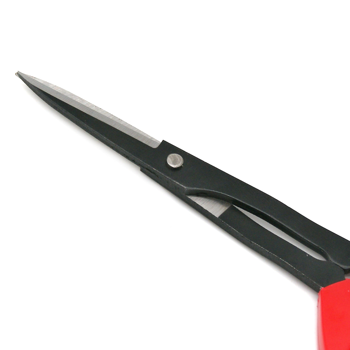 ハサミ (Tiger pruning Shears) – 森田商店