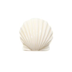 カービング ［ボーン（水牛）］ 【Scallop Shell】 (ホタテ貝)