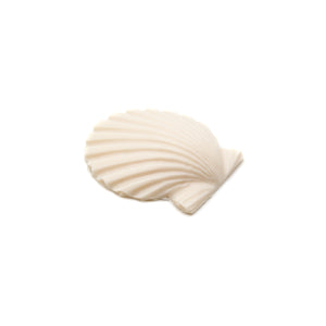 カービング ［アクリル］ 【Scallop Shell】 (ホタテ貝) 1インチ