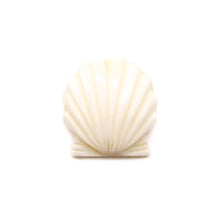 画像をギャラリービューアに読み込む, カービング ［ボーン］ 【Open Scallop Shell】 (ホタテ貝) 1インチ
