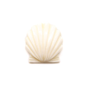 カービング ［ボーン］ 【Open Scallop Shell】 (ホタテ貝) 1インチ