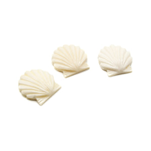 カービング ［ボーン］ 【Open Scallop Shell】 (ホタテ貝) 1インチ