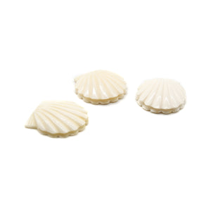 カービング ［ボーン］ 【Open Scallop Shell】 (ホタテ貝) 1インチ