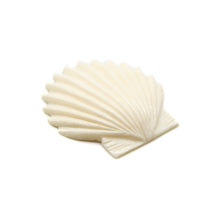 画像をギャラリービューアに読み込む, カービング ［ボーン］ 【Scallop Shell】 (ホタテ貝) 1-1/2インチ

