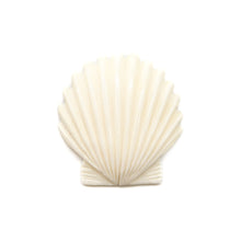 画像をギャラリービューアに読み込む, カービング ［ボーン］ 【Scallop Shell】 (ホタテ貝) 1-1/2インチ
