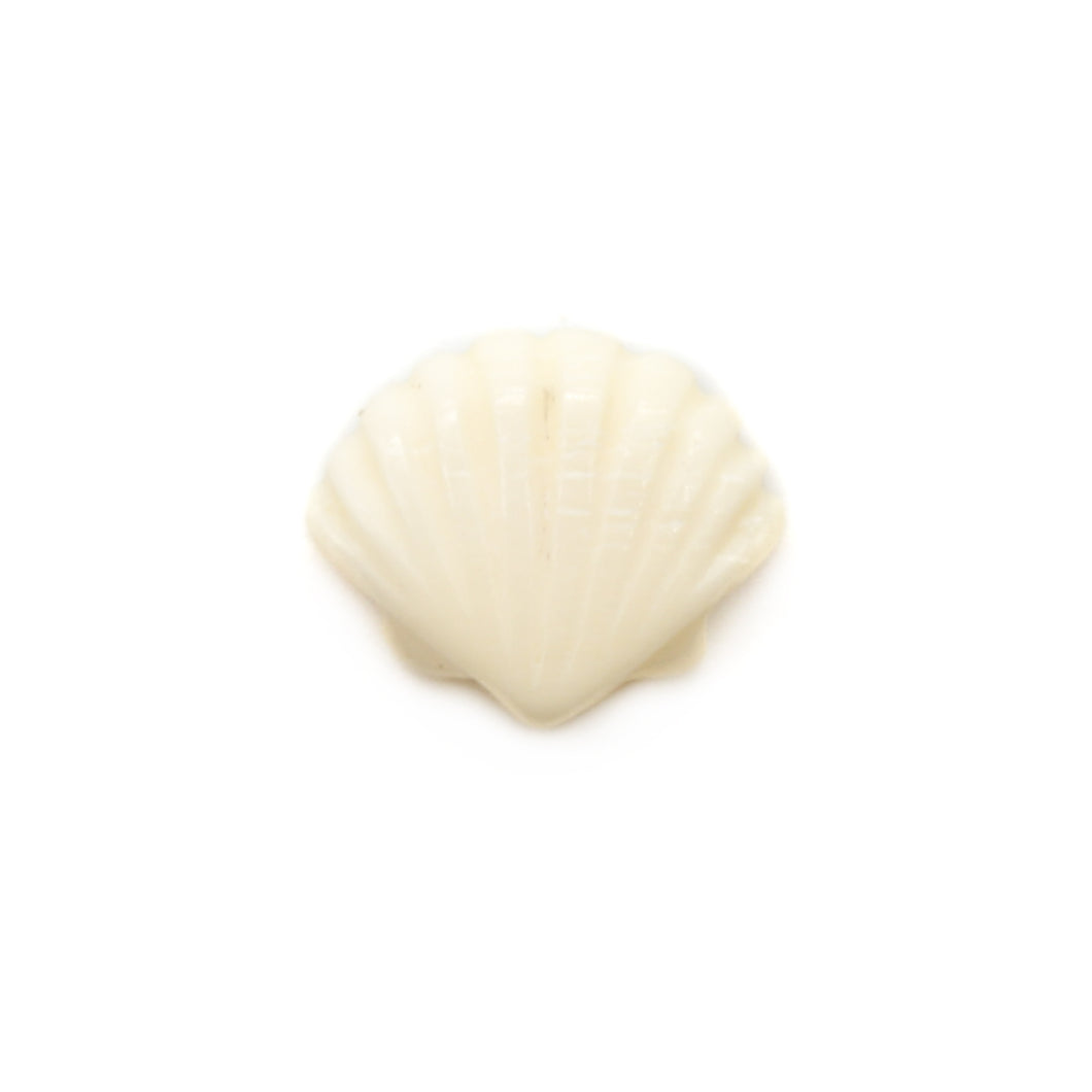 カービング ［ボーン］ 【Scallop Shell】 (フラットホタテ貝) 1/2インチ