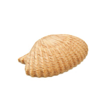 画像をギャラリービューアに読み込む, 積層カービング ［メープル×レッドオーク］ 【Wide Scallop Shell】
