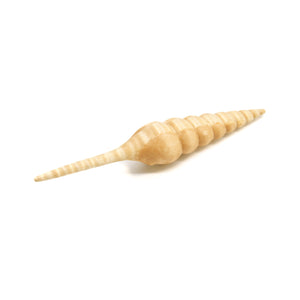 積層カービング ［トチ］ 【Spindle beak Shell】