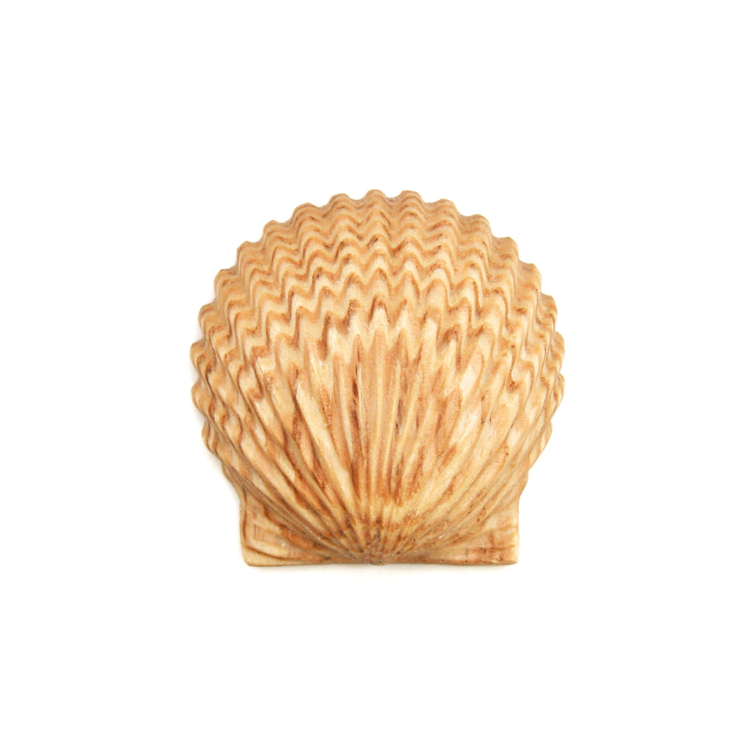 積層カービング ［メープル×レッドオーク］ 【Scallop Shell】