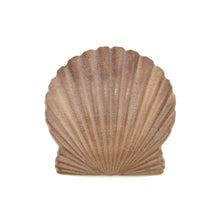 画像をギャラリービューアに読み込む, カービング ［ウォルナット］ 【Scallop Shell】 (ホタテ貝) 1-3/4インチ
