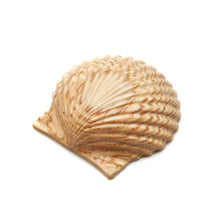 画像をギャラリービューアに読み込む, 木目の出方に個体差があります。
