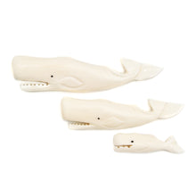 画像をギャラリービューアに読み込む, カービング ［ボーン］ 【Sperm Whale】 (マッコウクジラ) 各サイズ
