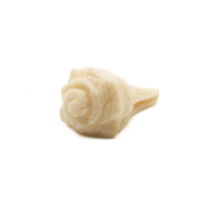 カービング［マンモス ] 1/2インチ Conch Shell (巻貝)