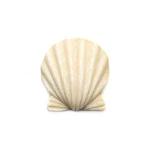 カービング ［マンモス］ 【Scallop Shell】 (ホタテ貝) 1/2インチ