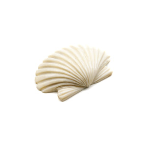 カービング ［アントラー］ 【Wide Scallop Shell】 (ホタテ貝) 1-1/2インチ