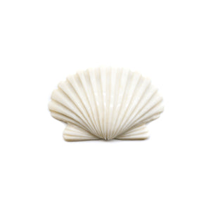 カービング ［アントラー］ 【Wide Scallop Shell】 (ホタテ貝) 1-1/2インチ